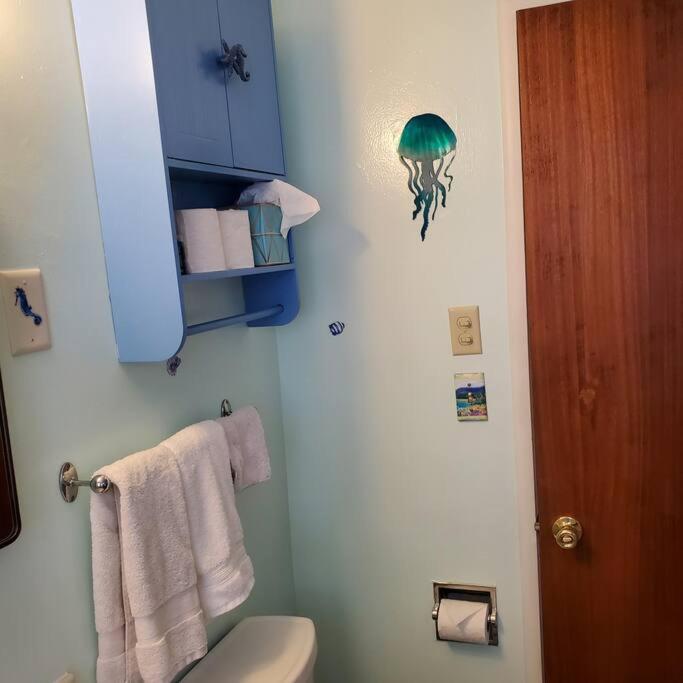 Sweet 2 Bedroom Close To U Of Oregon & Track! Eugene Exterior foto