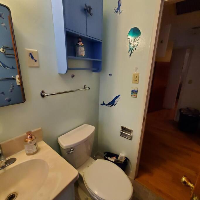 Sweet 2 Bedroom Close To U Of Oregon & Track! Eugene Exterior foto